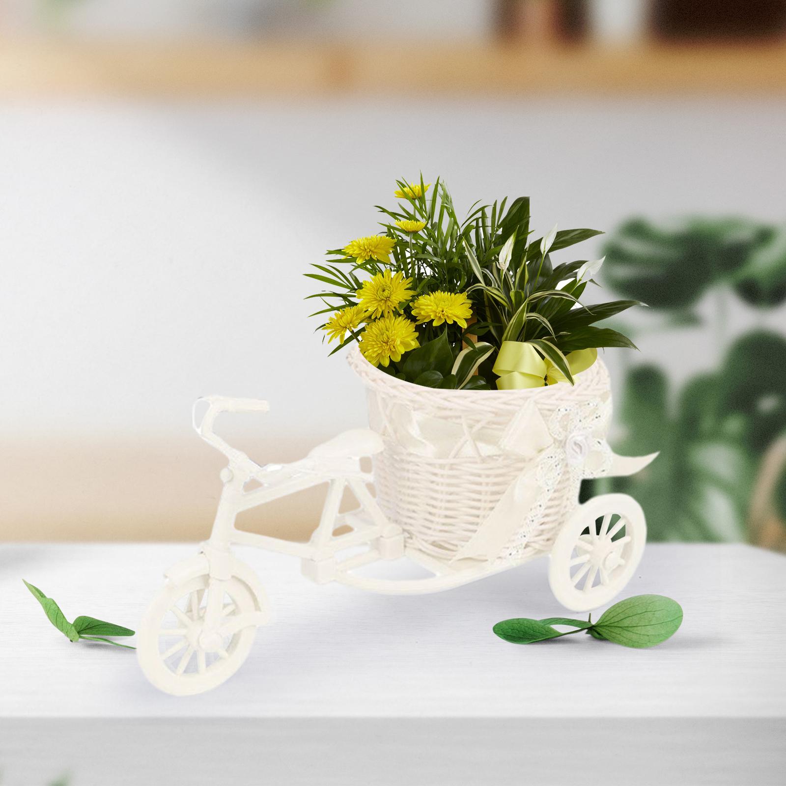 سلة زهور اصطناعية للدراجات ، م - مراجعة Wedding Hampers وسعره